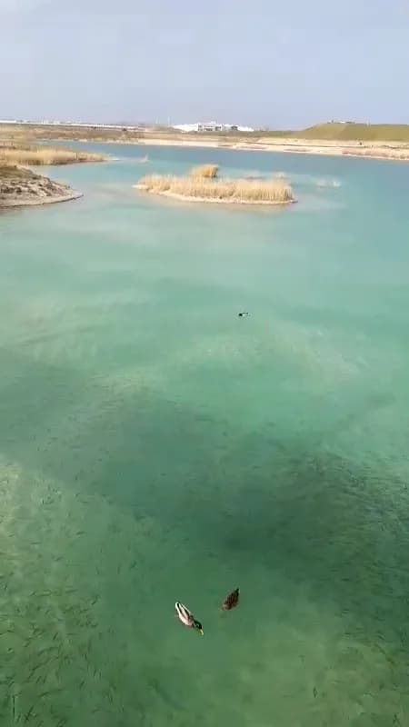 View of Aspern See in Aspern, VIE