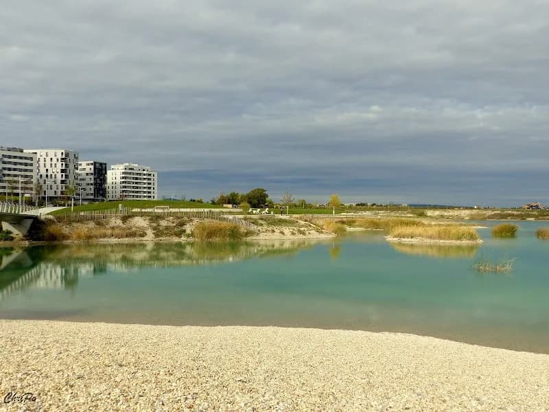 Asperner See lake in Aspern, VIE