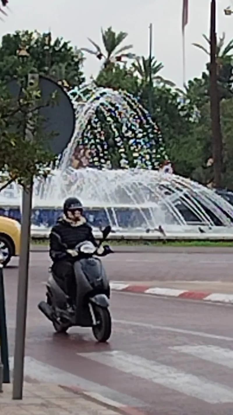 View of Avenue Mohamed V Street Market in Gueliz, MS