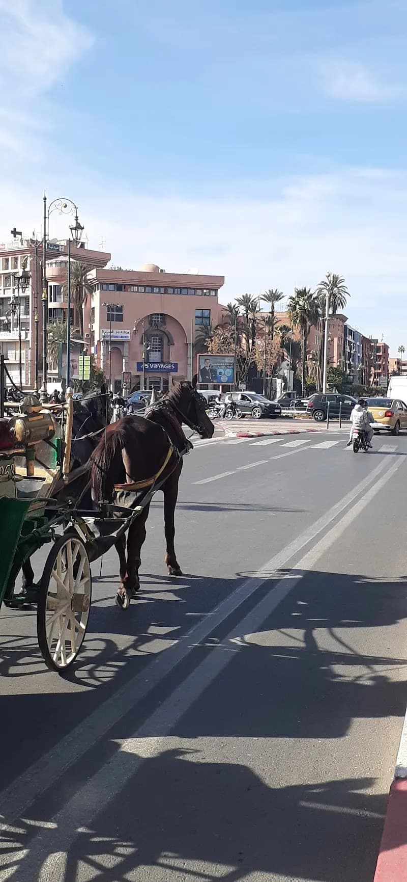 View of Avenue Mohamed V Street Market in Gueliz, MS
