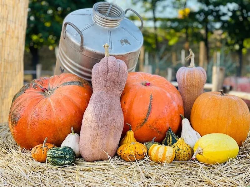 View of Azienda agricola la Campanella Fattoria in Pero, Lombardy