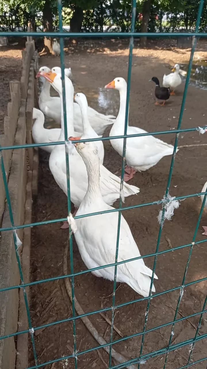 View of Azienda agricola la Campanella Fattoria in Pero, Lombardy