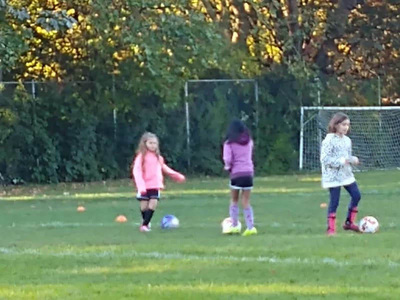 View of B.F. Day Playground in Fremont, WA