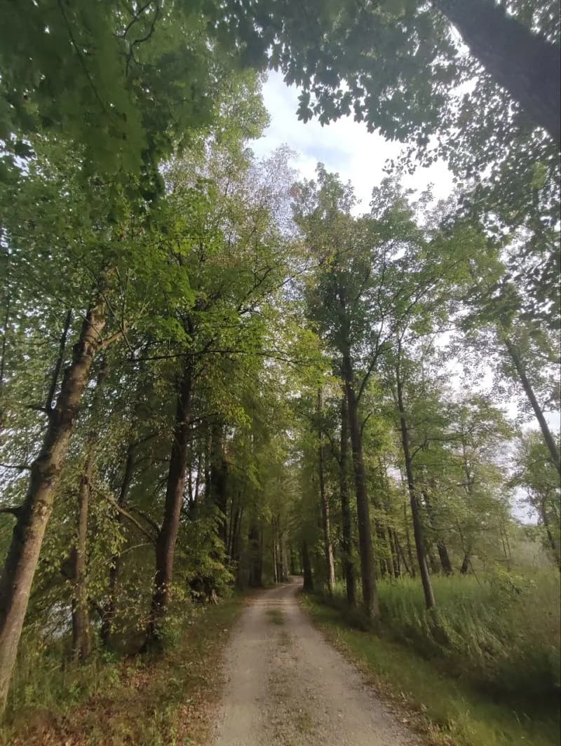 View of B471 Isarradweg in Oberschleißheim, BY