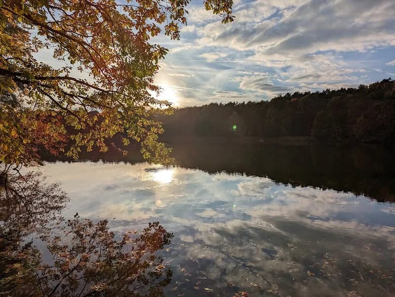Badestelle Krumme Lanke sports activity location in Lichterfelde, BE