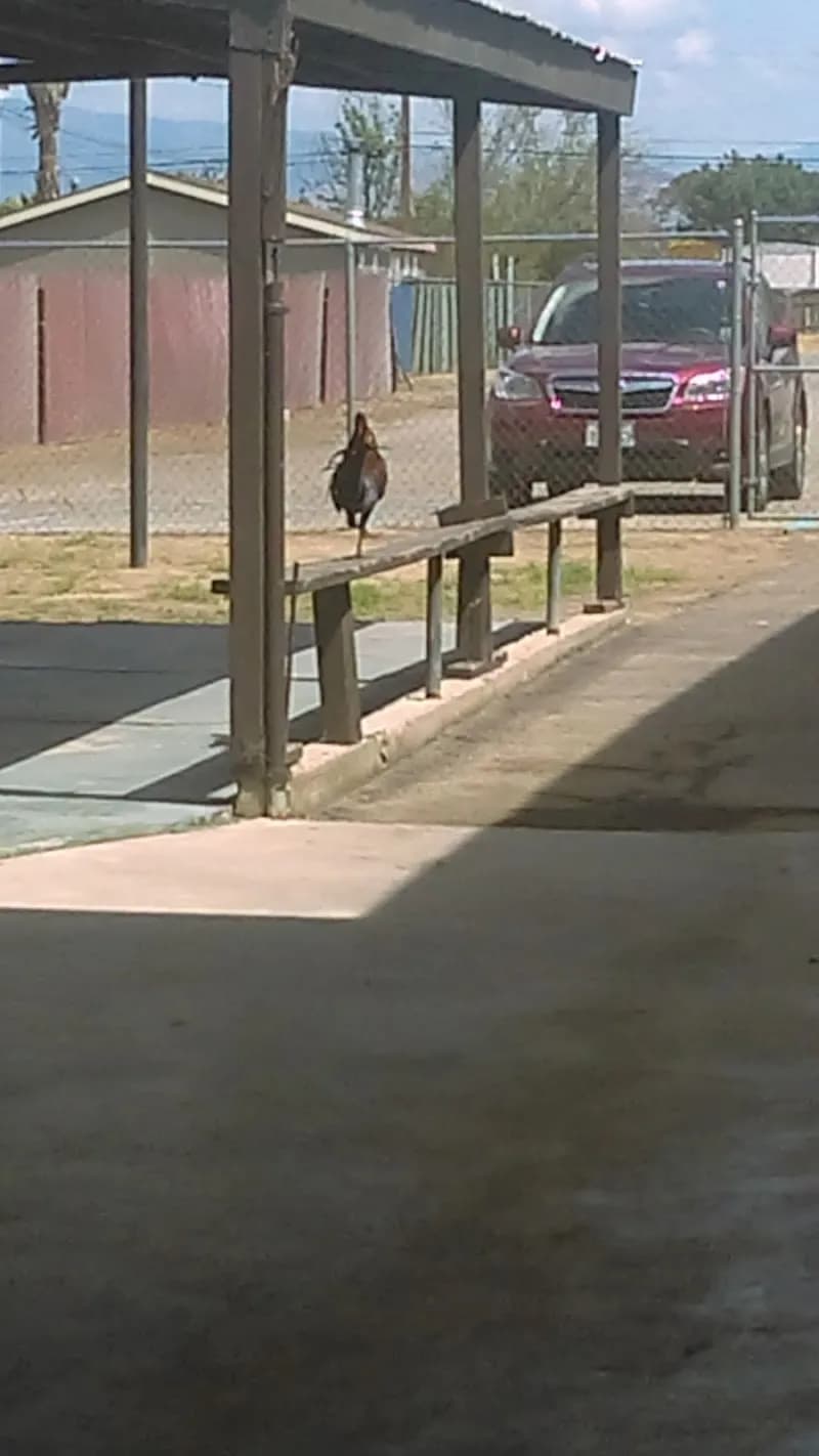 View of Bakersfield Community Theatre in Bakersfield, CA