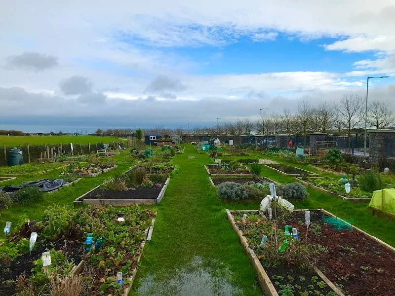 Baldoyle Racecourse Community Garden garden in Templeogue, D