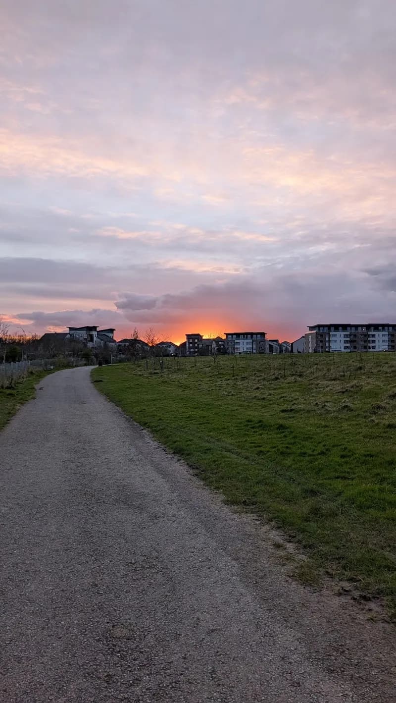 View of Baldoyle Racecourse Community Garden in Templeogue, D