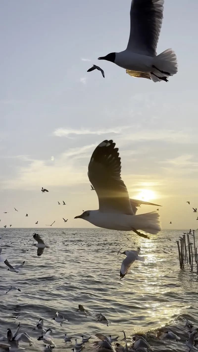 View of Bang Pu Recreation Center in Samut Prakan, BKK