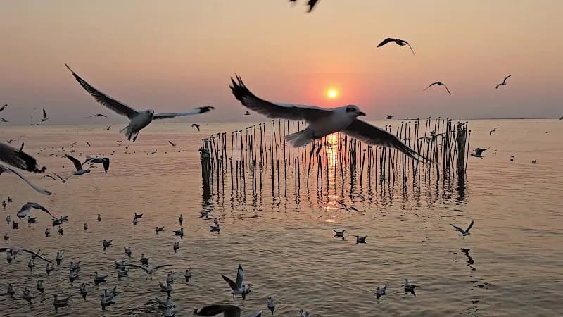 View of Bang Pu Recreation Center in Samut Prakan, BKK