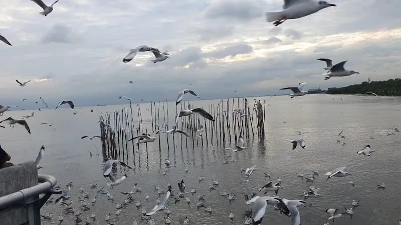 View of Bangpu Nature Education Centre in Samut Prakan, BKK