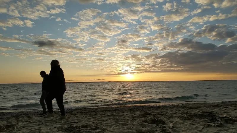 View of Barnes County Park in Alanson, MI