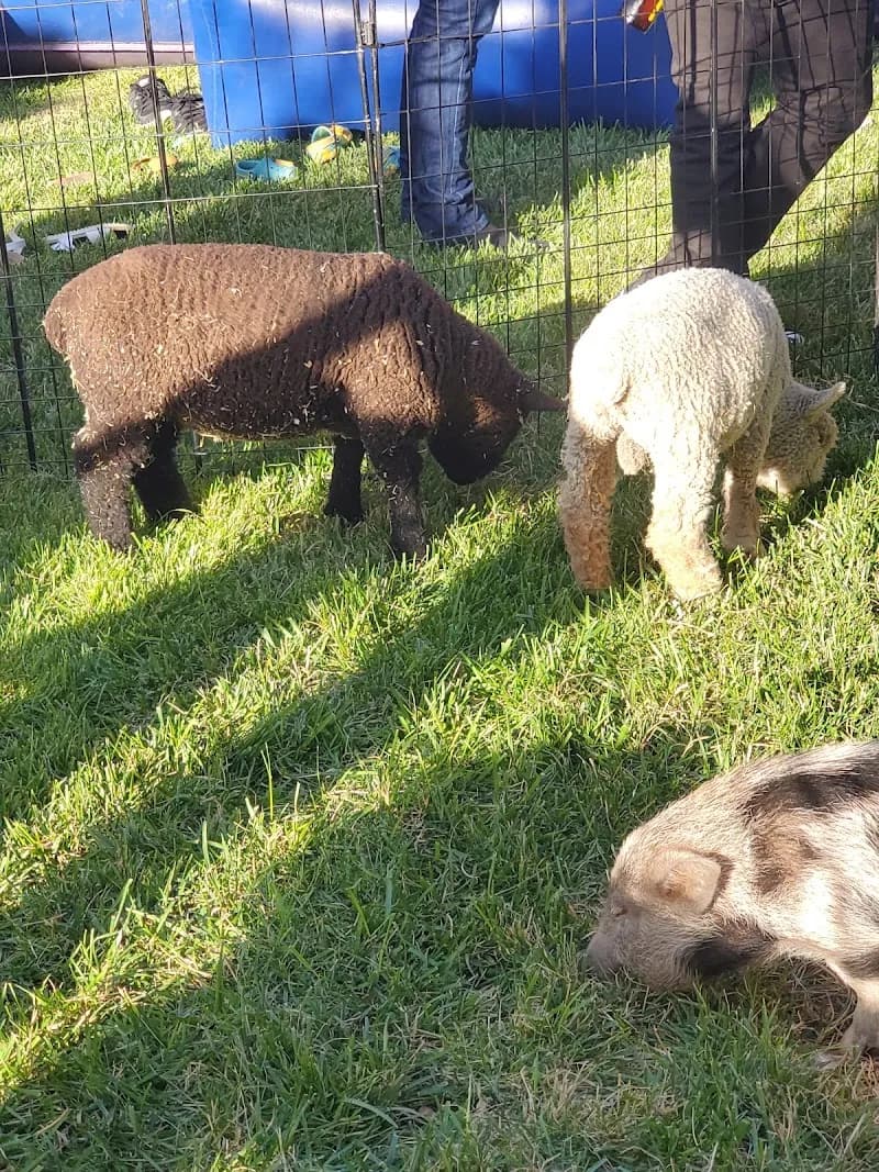 View of Barnyard Buddies Mobile Petting Zoo and Pony Ride Services in Riverside, CA