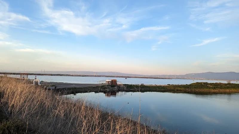 View of Baylands Park Trail in Santa Clara, CA