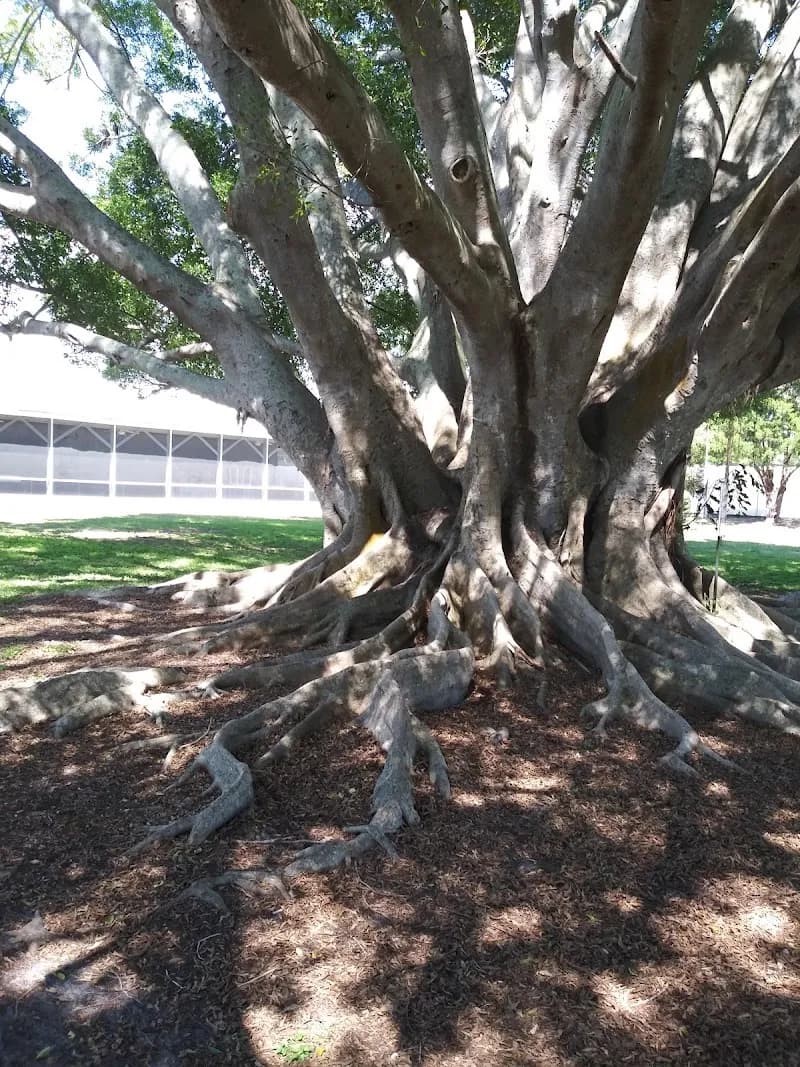 View of Bayshore Gardens Park and Recreational District in South Tampa, FL