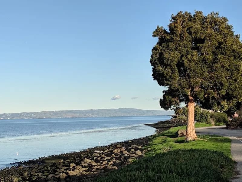 View of Bayside Park in Burlingame, CA
