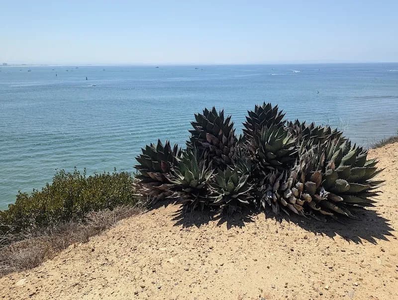 View of Bayside Trail in Point Loma, CA