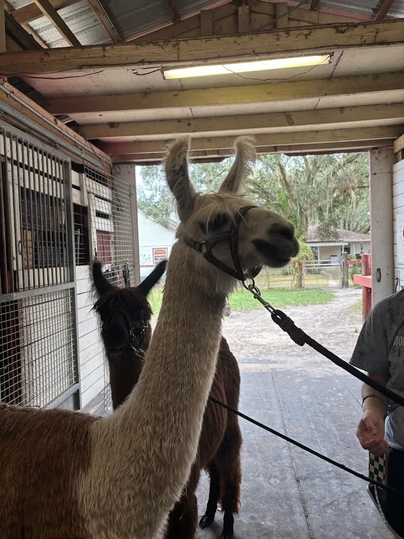 View of Beautiful Creatures Animal Ranch in Ocala, FL