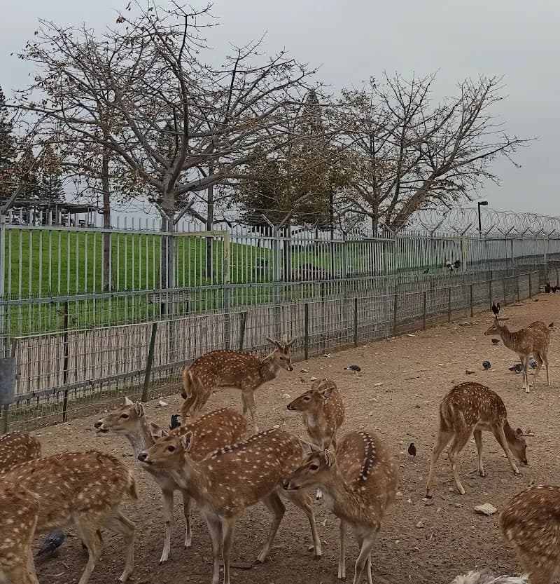 Begin Park Petting Zoo zoo in Tel Aviv, TA