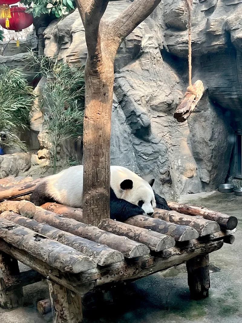 Beijing Wildlife Park zoo in Beijing, BJ