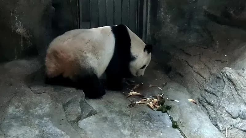 View of Beijing Wildlife Park in Beijing, BJ