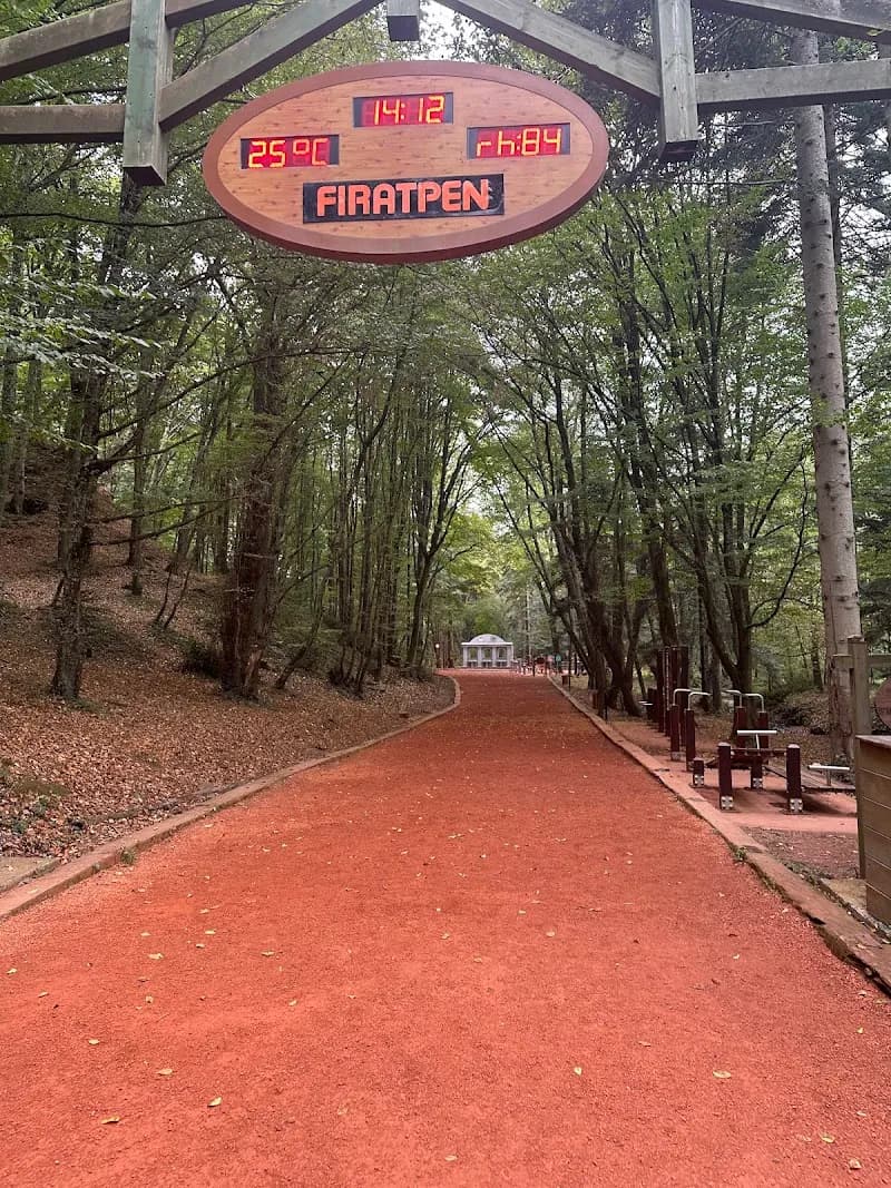 Belgrad ormanı hiking area in Beykoz, Istanbul