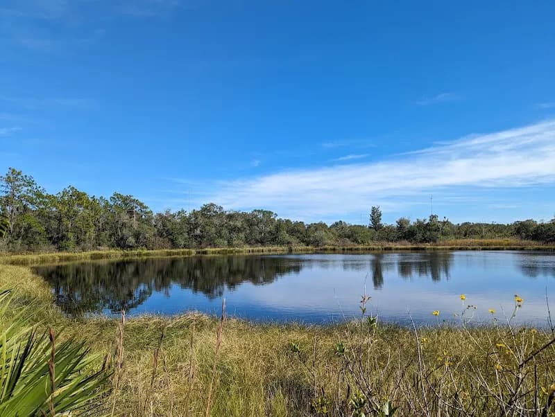 Bell Creek Nature Preserve nature preserve in Riverview, FL