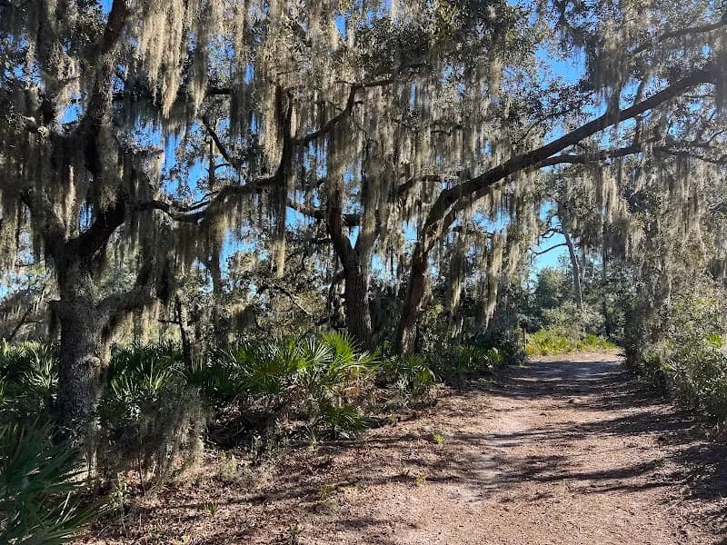 View of Bell Creek Nature Preserve in Riverview, FL