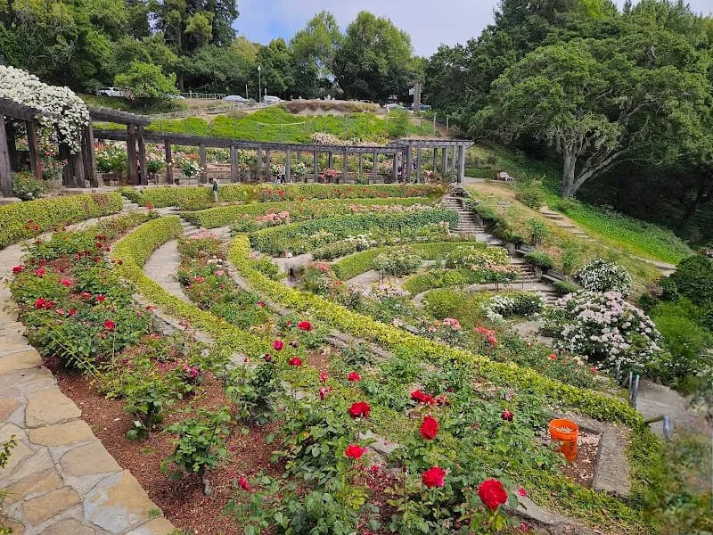 Berkeley Rose Garden garden in Berkeley, CA