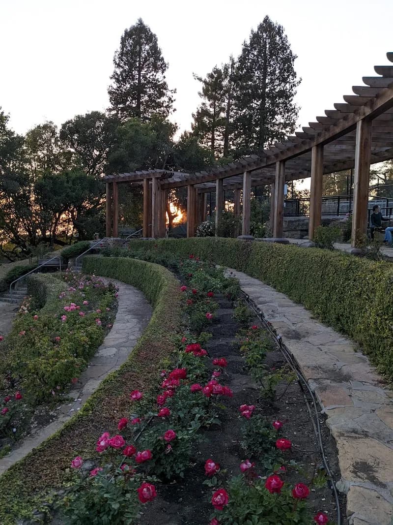 View of Berkeley Rose Garden in Berkeley, CA