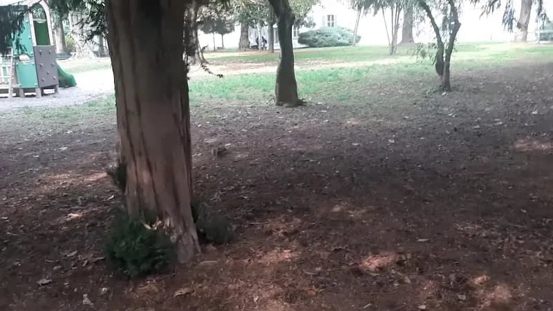 View of Biblioteca Rho Villa Burba in Rho, Lombardy