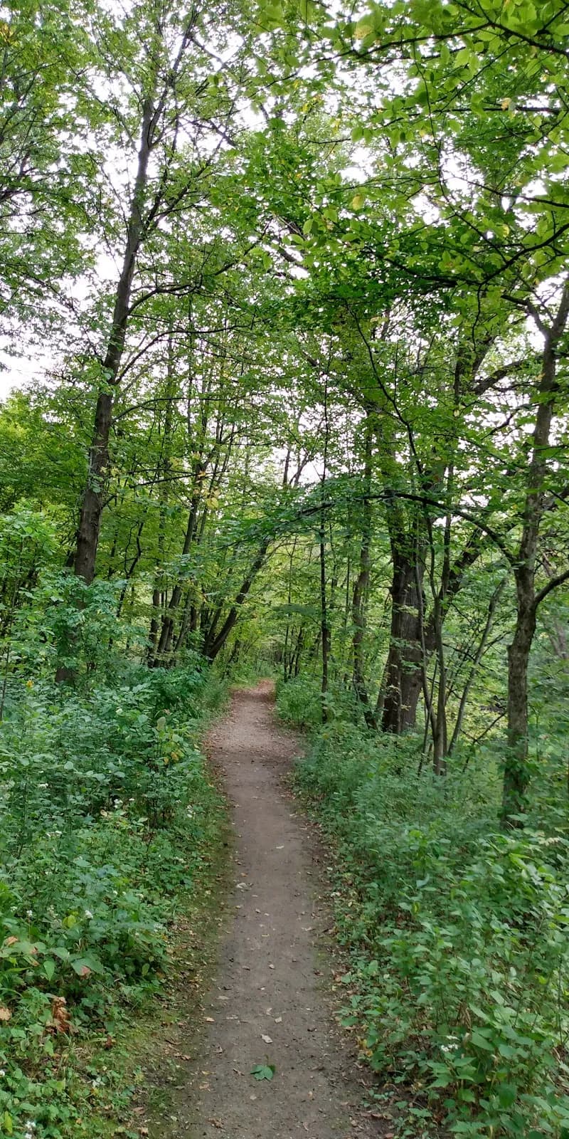 View of Big Willow Park, Minnetonka in Minnetonka, MN