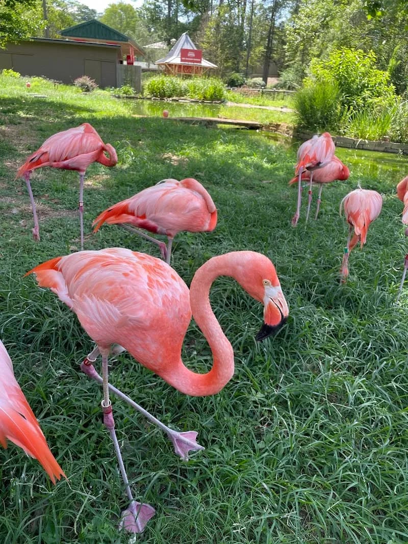 View of Birmingham Zoo in Birmingham, AL