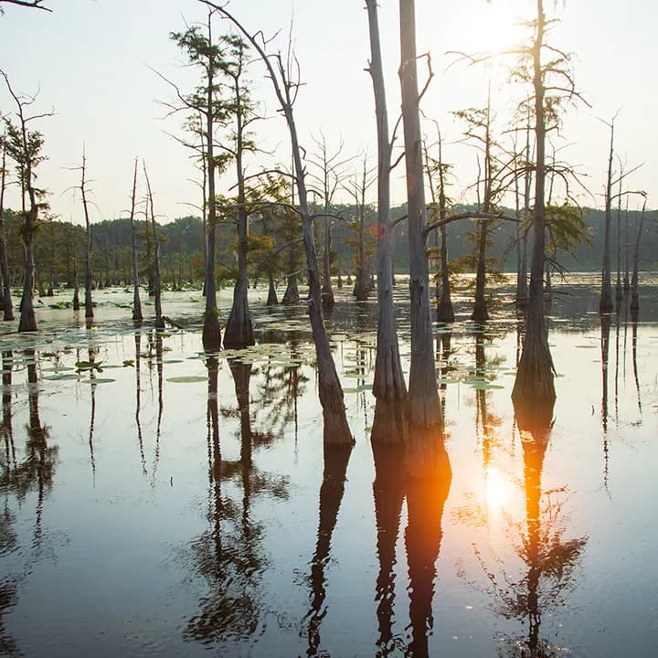 View of Black Bayou Lake National Wildlife Refuge Visitor Center in Lake Charles, LA