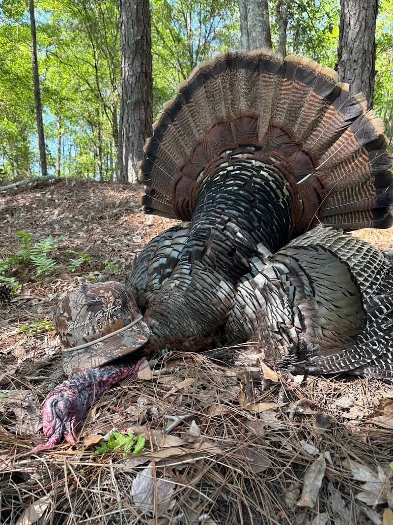 Black Bottom Outfitters, LLC. point of interest in Middleburg, FL