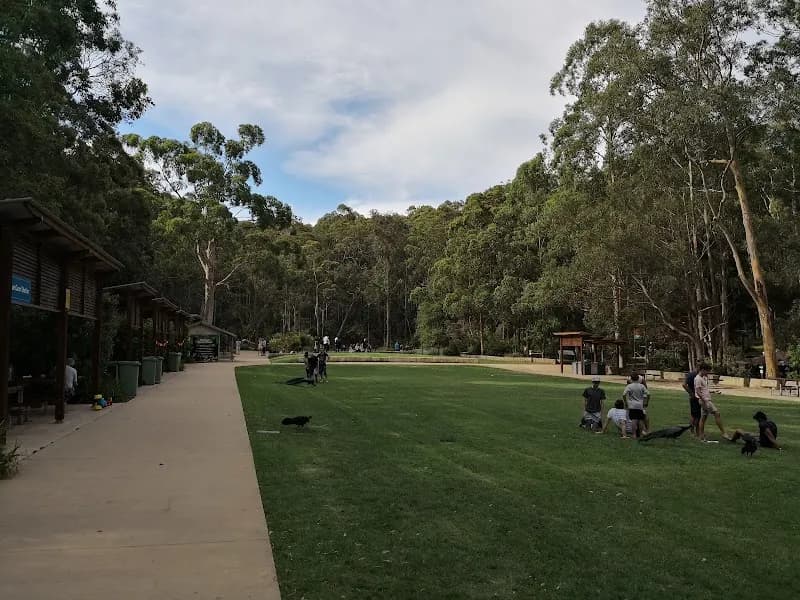 Blackbutt Nature Reserve nature preserve in Newcastle, NSW