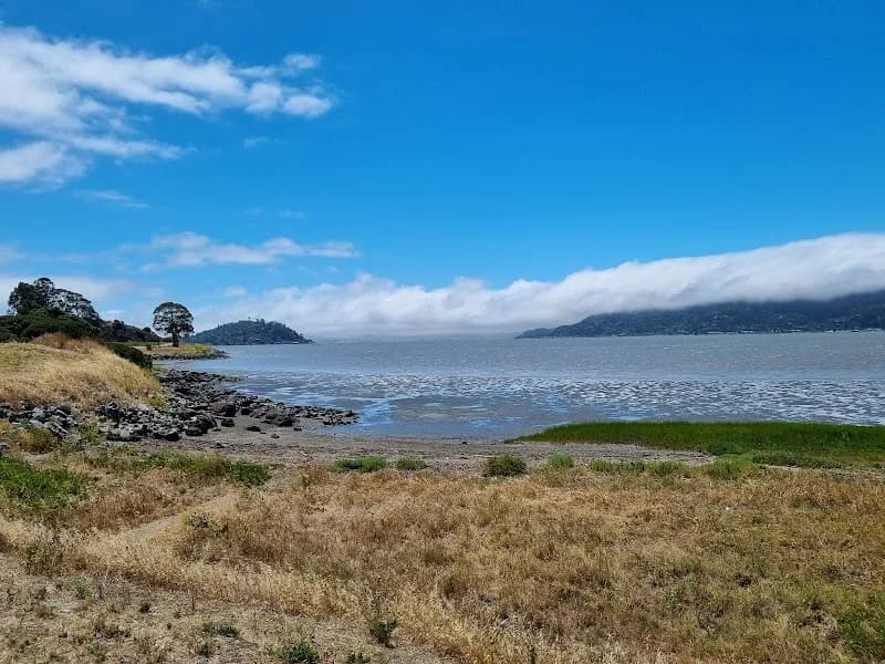 View of Blackie's Pasture in Tiburon, CA