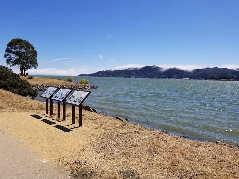 View of Blackie's Pasture in Tiburon, CA