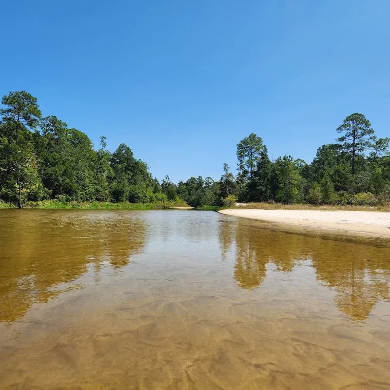 Blackwater Canoe Rental service in Bagdad, FL