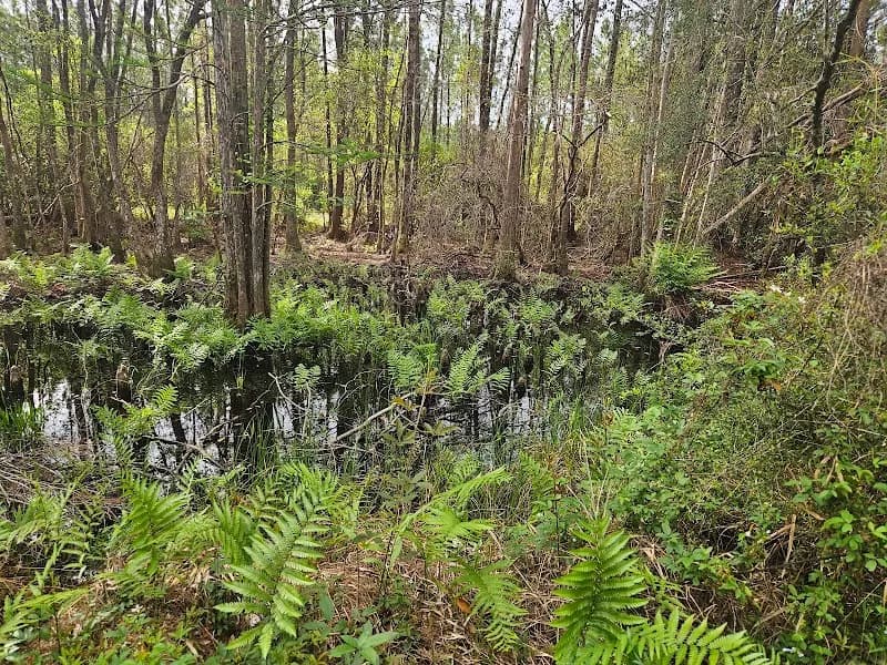 Blackwater Heritage State Trail - Bagdad Access outdoor adventure in Bagdad, FL