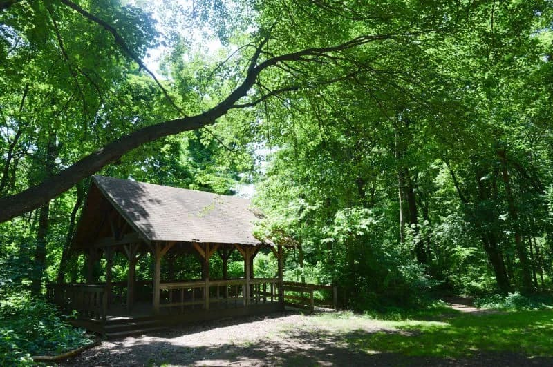 View of Blue Heron Park in Staten Island, NY