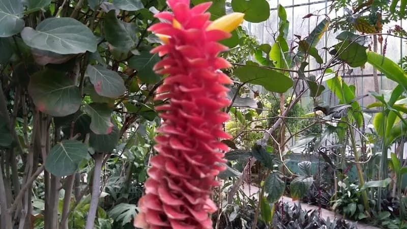 View of Bois de Boulogne in Paris, IDF