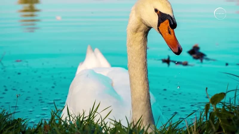 View of Bois de Vincennes in Paris, IDF