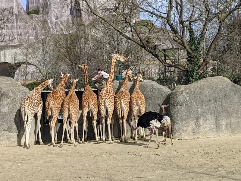 View of Bois de Vincennes in Paris, IDF