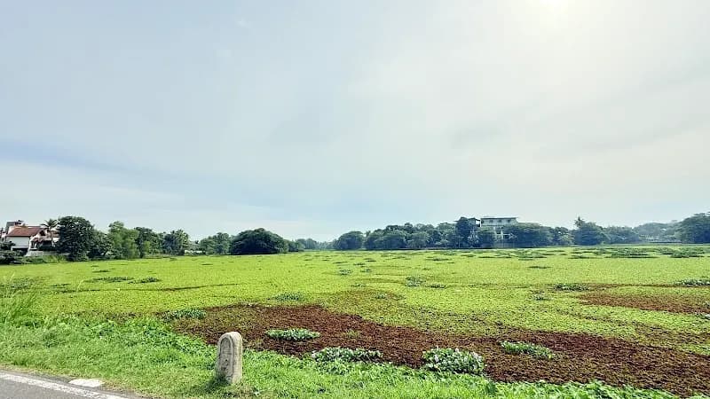 View of Boralesgamuwa Lake in Maharagama, WP