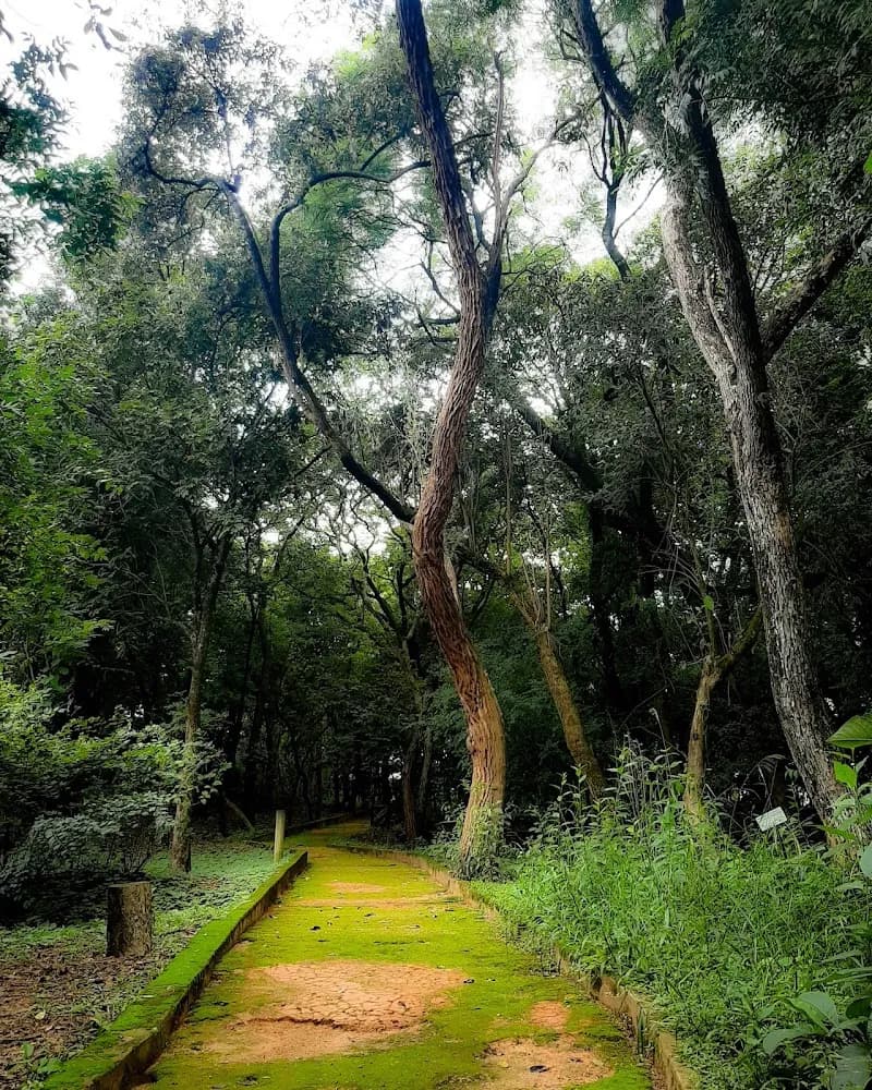 Bosque Alceu Geribello park in Itu, SP
