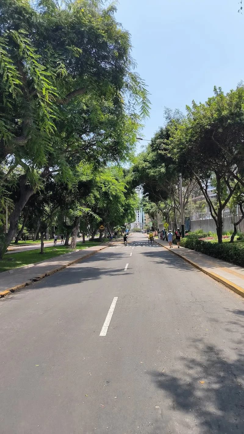 View of Bosque Castilla in Lince, Lima