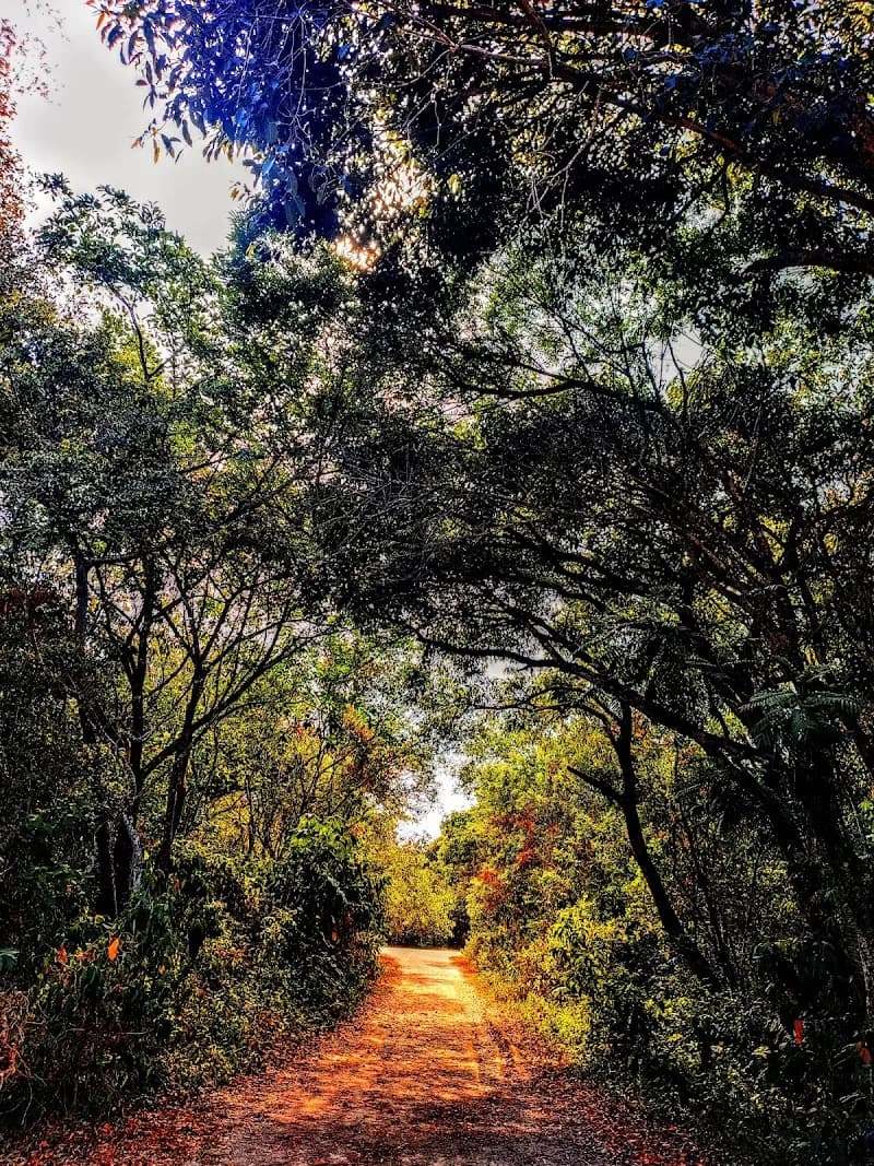 Bosque da Barra city park in Jacarepaguá, RJ