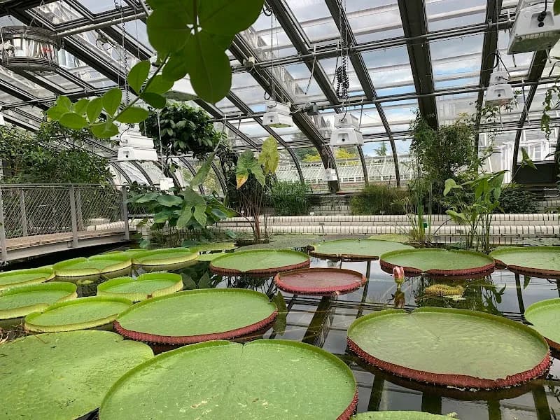 Botanical Garden and Botanical Museum botanical garden in Zehlendorf, BE