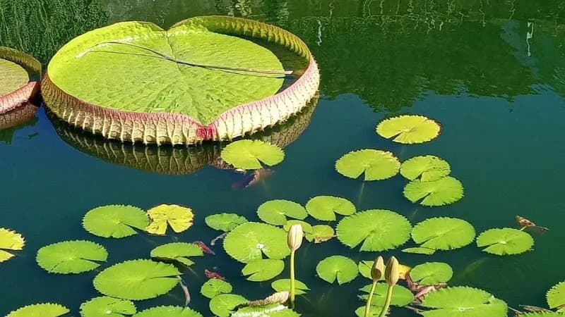 View of Botanical Garden in Zurich, ZH